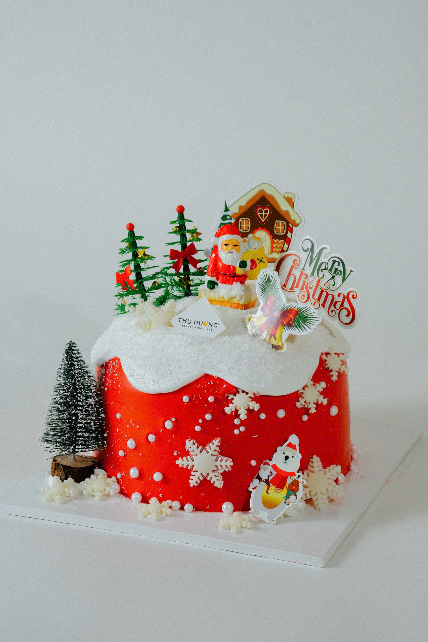 Santa Christmas Cake 